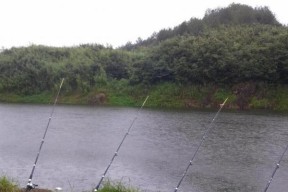 河流水库野钓选位技巧是什么？如何找到最佳钓鱼点？