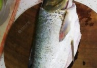 浮竿钓鲢鱼技巧和方法有哪些？如何提高钓鲢鱼的成功率？