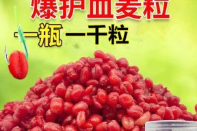 发芽麦粒钓鱼技巧有哪些？如何正确使用发芽麦粒提高钓鱼成功率？