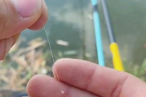 掌握钓鱼技巧，精准找底调漂（底钓技巧一网打尽，让你钓到满满的收获）