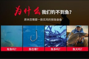 水下探鱼技巧揭秘（钓鱼爱好者必读，水下探鱼的技巧）