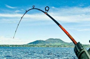 钓鱼的定律与技巧教学（掌握钓鱼的成功秘诀）