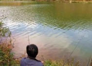 秋季在肥水塘钓鱼时应该注意哪些技巧？如何提高钓鱼成功率？