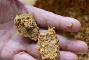 冬季北方钓鱼打窝技巧（寒冬里的丰收，钓鱼打窝新玩法）