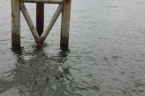 不同天气钓鱼时应采用哪些技巧？如何根据天气变化调整钓鱼方法？