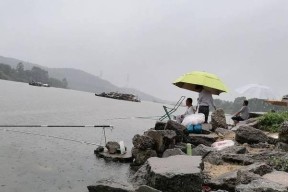 夏天下雨天钓鱼技巧（雨天池塘钓鱼）
