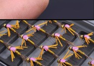 飞蝇钩绑钩鱼钩的技巧是什么？如何快速掌握？
