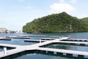 浮桥钓鱼技巧教学有哪些常见问题？如何解决？