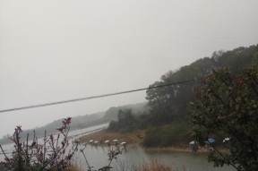 秋季大雨中钓鱼技巧教程（怎样在秋季大雨中提高钓鱼成功率）