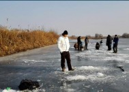 低温钓鱼的技巧与方法教程？如何在寒冷天气中成功钓到鱼？