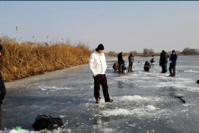低温钓鱼的技巧与方法教程？如何在寒冷天气中成功钓到鱼？