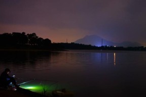 信阳野河夜钓钓鱼技巧（探秘信阳野河夜钓）