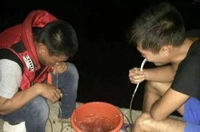饭盒钩钓鱼技巧有哪些？如何提高钓鱼成功率？