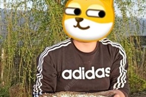 钓鱼截口技巧教学（掌握截口技巧，提升钓鱼技能）
