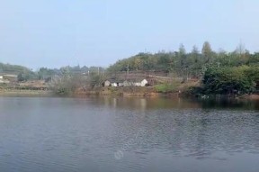 以木定水库钓鱼技巧最新（掌握技巧）