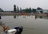 黑坑钓浮鲤鱼正确方法与技巧教程？如何提高钓浮鲤鱼的效率？