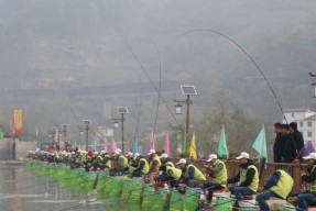 黑坑钓鱼初期技巧是什么？如何快速掌握？