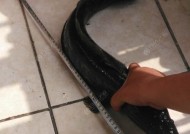 浮萍塘钓黑鱼时使用假饵的正确手法是什么？有哪些技巧可以提高成功率？