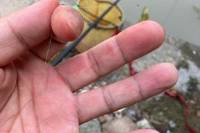 公路小水沟钓鱼技巧（探秘公路小水沟的钓鱼诀窍）