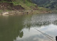 高温天气垂钓技巧大全（夏日炎炎）