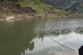 高温天气垂钓技巧大全（夏日炎炎）