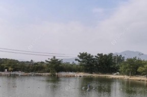 黑坑钓鱼抓口技巧（掌握技巧）