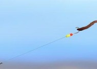 筏竿钓鱼技巧全过程是怎样的？如何提高钓鱼效率？