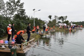 富春江台钓技巧有哪些？如何提高台钓成功率？