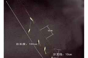 沙滩抛串钩钓鱼技巧（掌握正确技巧）