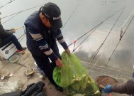 黑坑钓鱼抽号技巧是什么？如何提高抽号成功率？