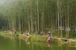 钓鱼技巧和方法（打造钓鱼达人）