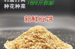 黄豆打窝钓鱼的技巧与方法（小窍门助你捕鱼轻松又有效）