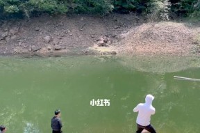 池塘野钓鱼技巧有哪些？如何提高钓鱼成功率？