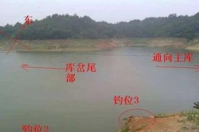 坪阡水库钓鱼技巧（钓鱼技巧解析）