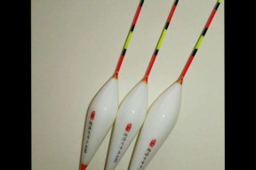 浮漂钓鲫鱼技巧教程？如何快速掌握并提高钓获量？