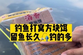 四川冬季钓鱼技巧全知识（四川冬季钓鱼的技巧和要点）
