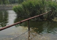 河里钓鱼选位置技巧是什么？如何根据季节和天气选择最佳钓点？