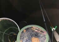 温差钓鱼技巧教程（掌握温差钓鱼的关键技巧）