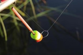 钓鱼调漂技巧和方法教程（掌握调漂技巧，成为钓鱼高手）
