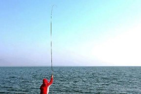 秋季河流钓鱼技巧（享受丰收季节的河流钓鱼乐趣）