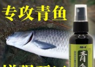 黑坑大青钓鱼的正确方法和技巧是什么？如何提高钓鱼技巧？
