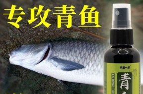 黑坑大青钓鱼的正确方法和技巧是什么？如何提高钓鱼技巧？