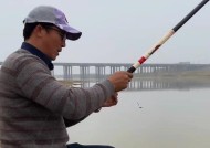 风天钓鱼选位技巧是什么？如何应对风天钓鱼的挑战？