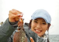 仿真钓鱼小技巧有哪些？如何提高仿真钓鱼的成功率？