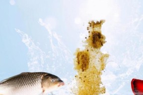 打窝瓶钓鱼技巧有哪些？如何正确使用提高钓鱼效率？