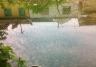肥水水域钓鱼的技巧是什么？如何提高钓获率？