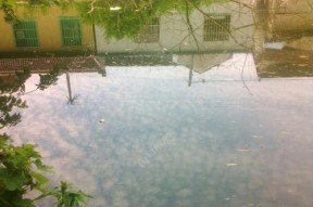 肥水水域钓鱼的技巧是什么？如何提高钓获率？