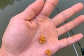 春季钓鱼技巧和饵料配方是什么？如何提高钓鱼成功率？