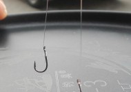 黑坑钓鲤鱼浮水技巧是什么？如何有效提高钓鲤鱼的成功率？