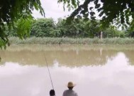 防波堤夜钓技巧有哪些？如何提高夜钓成功率？